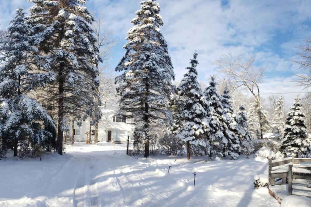 Paradise In Heart Of Poconos Fast Internet Close To All Attractions Pocono Summit Exterior photo