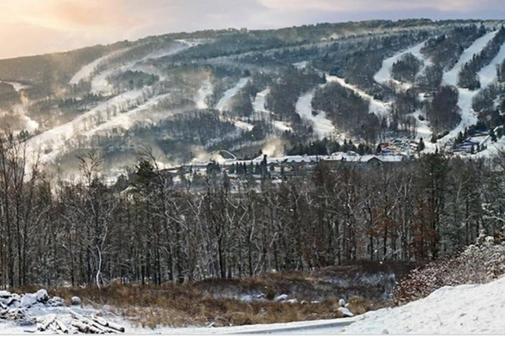 Paradise In Heart Of Poconos Fast Internet Close To All Attractions Pocono Summit Exterior photo