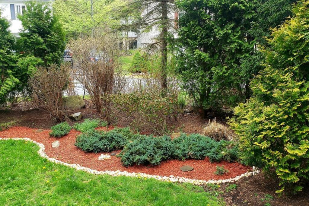Paradise In Heart Of Poconos Fast Internet Close To All Attractions Pocono Summit Exterior photo